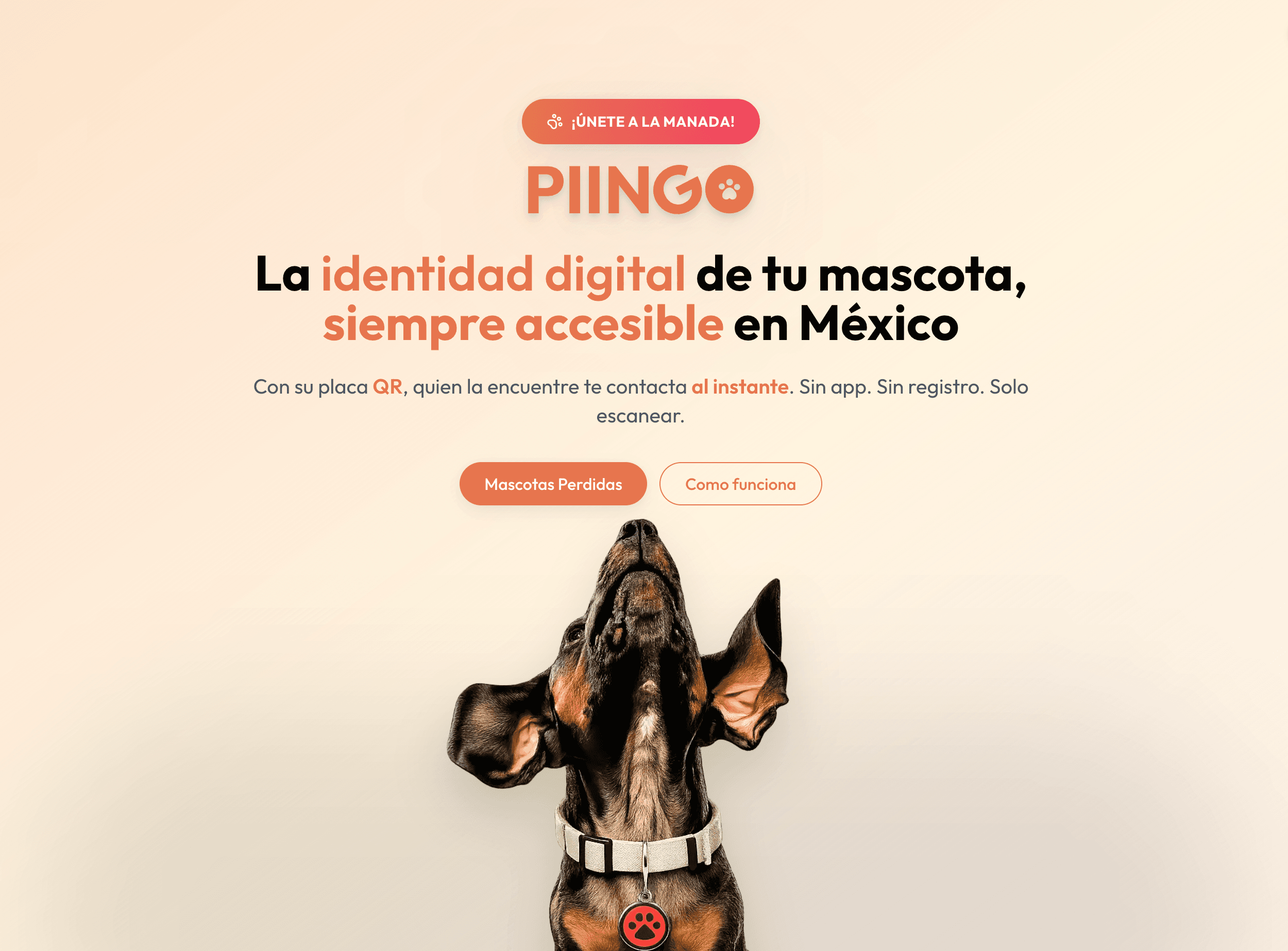 Captura del proyecto Piingo